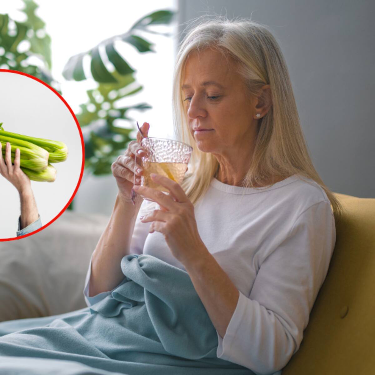 ¿Tomar agua de apio alivia el dolor de estómago? Nutricionistas confirman si funciona