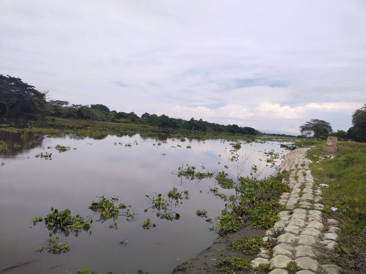 Procuraduría pidió a Mintransporte atender alertas sobre APP Canal del Dique