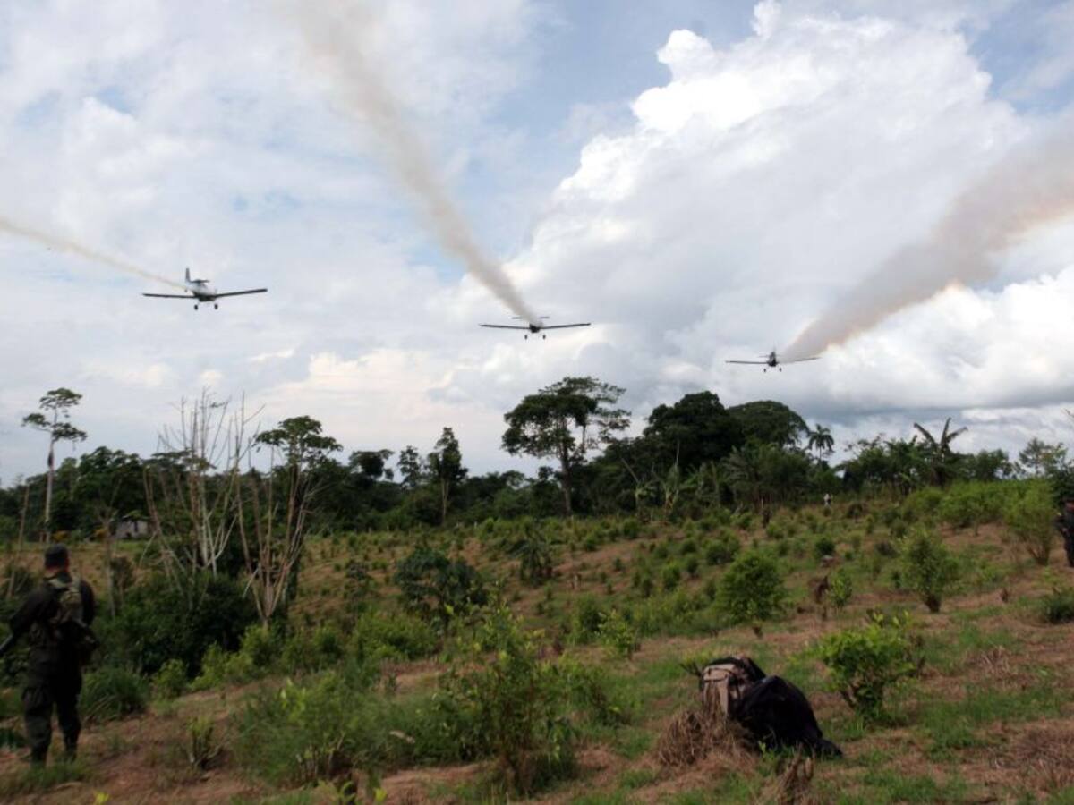 ONU a Duque: ‘Reanudar el glifosato atentaría contra el acuerdo de paz’