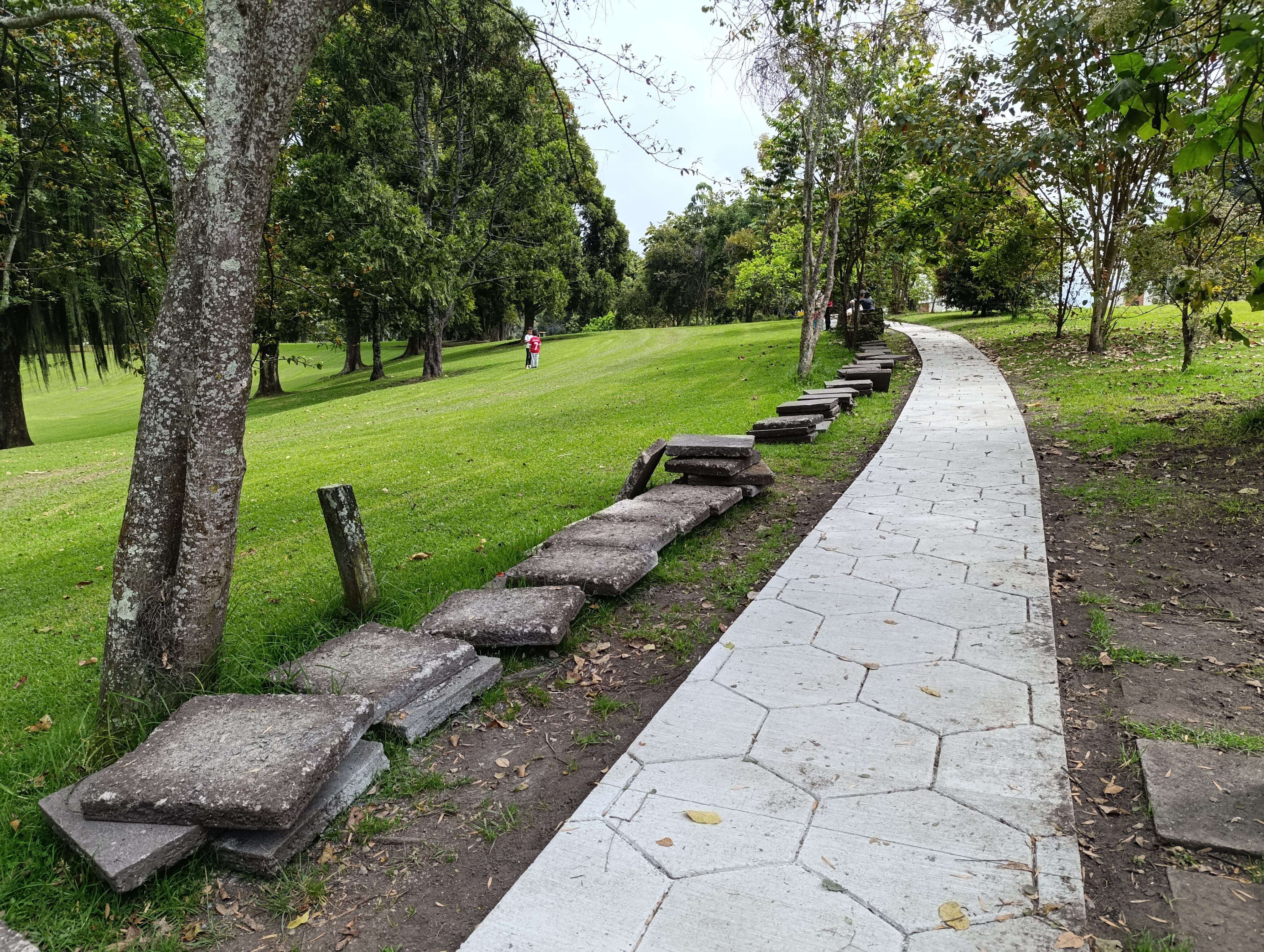 Foto del Bosque Popular El Prado en Manizales