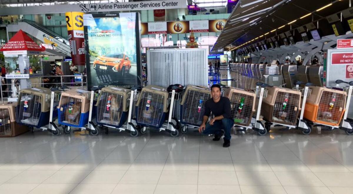 El joven tiene una organización ambientalista llamada “The Animal Hope & Wellness Foundation”. 