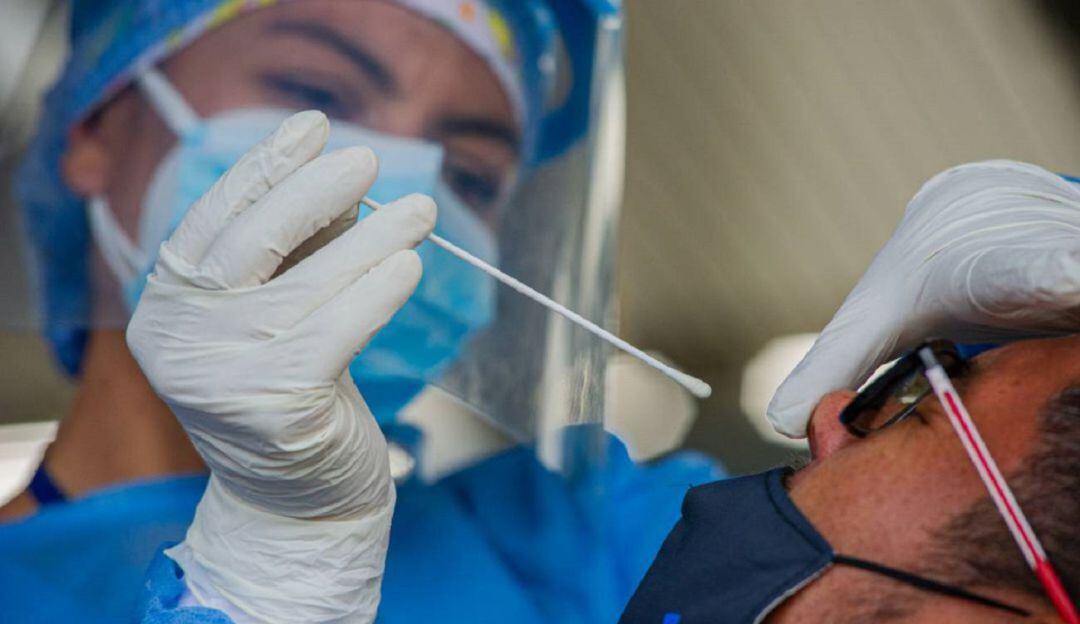 Imagen de referencia 