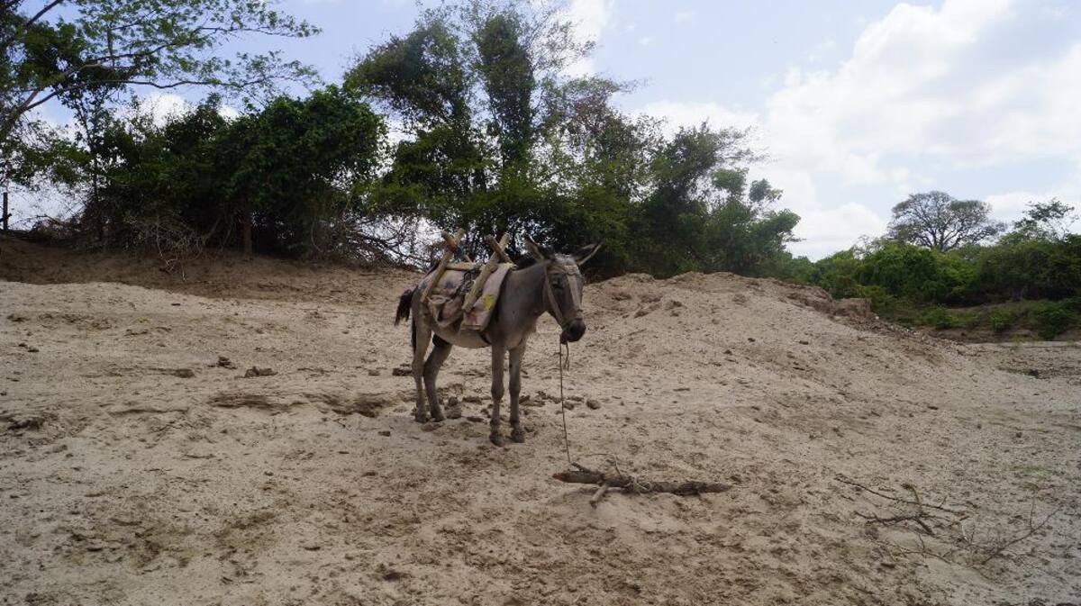 Recorrido de Caracol Radio por las zonas que aguantan sed. Fotos de Luis Enrique Rodríguez