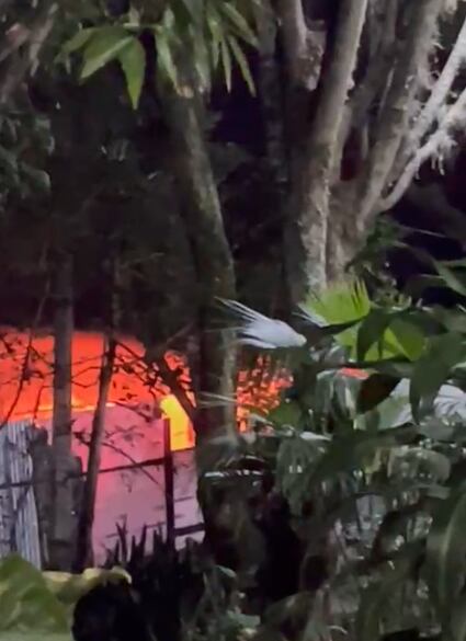Foto: Denuncias Antioquia