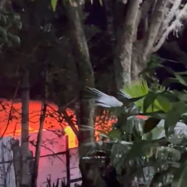 Foto: Denuncias Antioquia