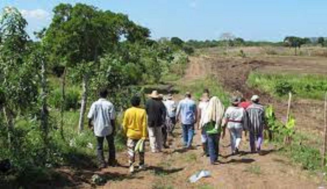 Familia denuncia desalojo de sus tierras en zona rural de Cúcuta
