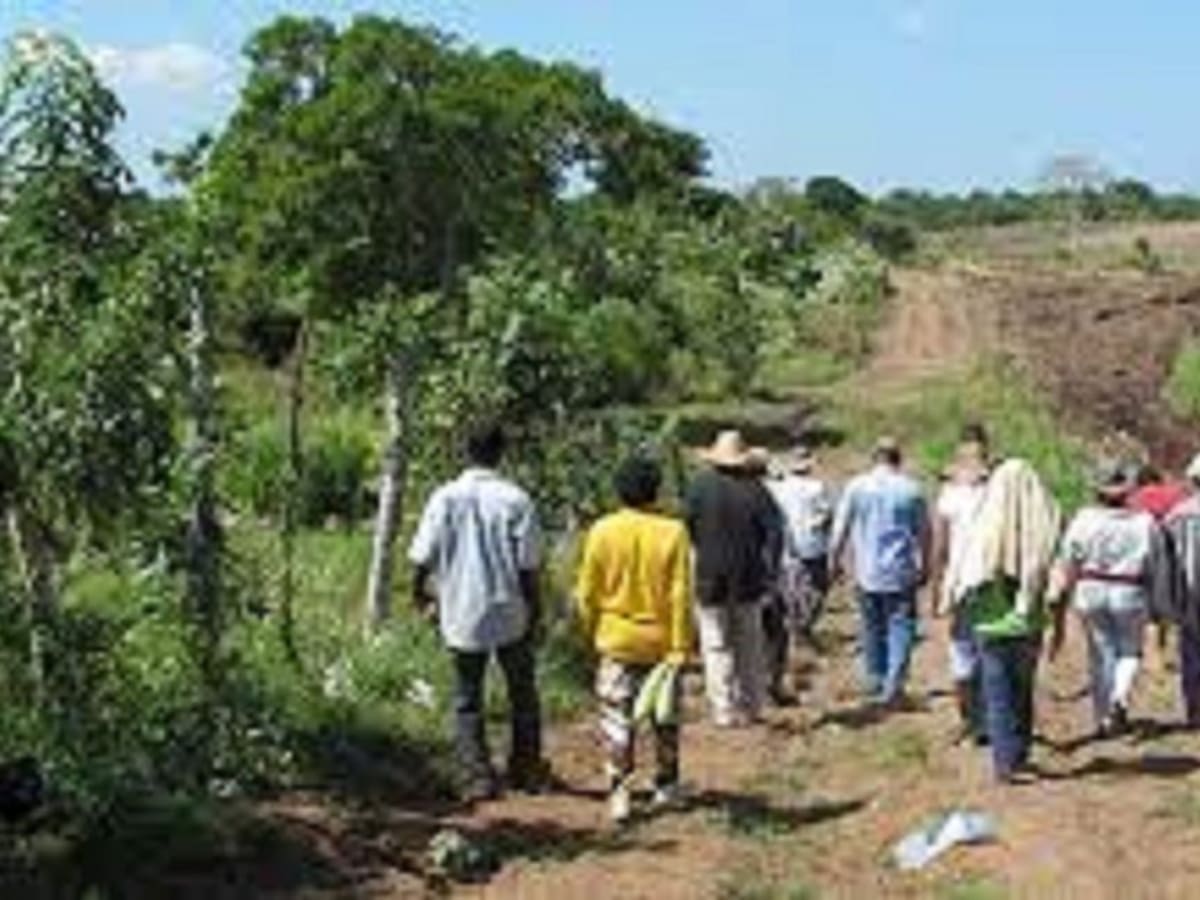 Familia denuncia desalojo de sus tierras en zona rural de Cúcuta