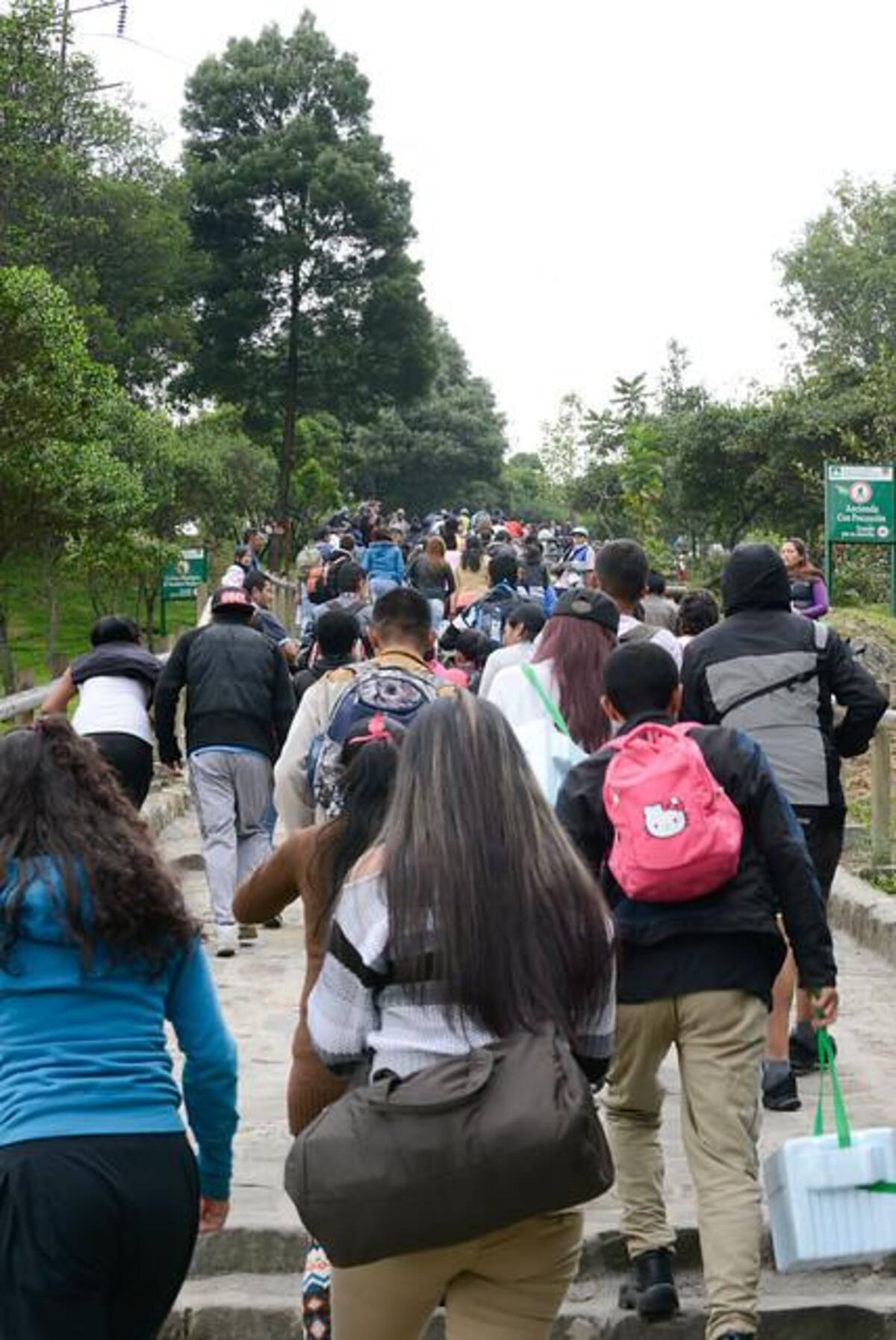 Se han registrado miles de visitantes, un promedio de 3.000 personas por hora, es decir unos 50 personas por minuto. Se espera que el total de las visitas sea alrededor de 65.000.