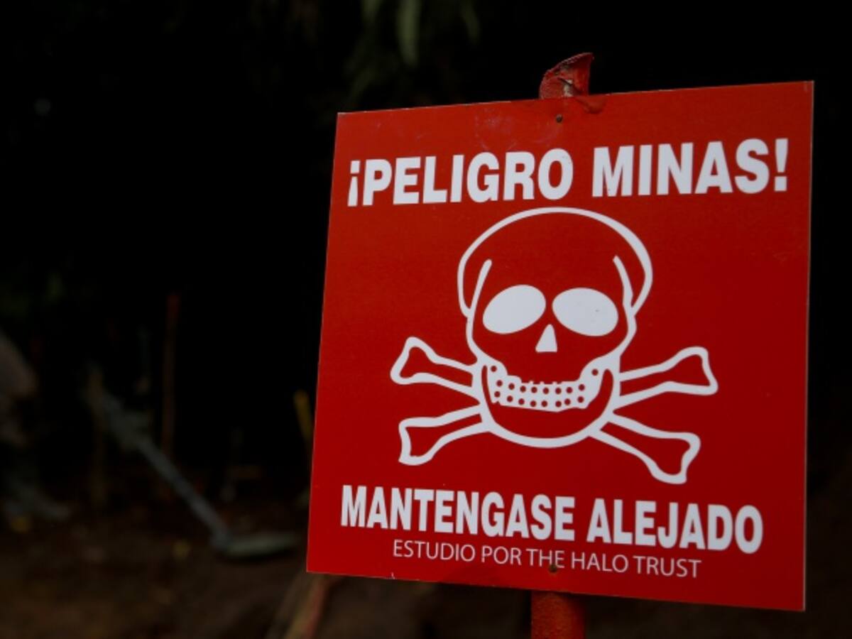 La Unión Europea aprueba 2,7 millones de euros para operaciones de desminado en Meta, Cauca y Antioquia