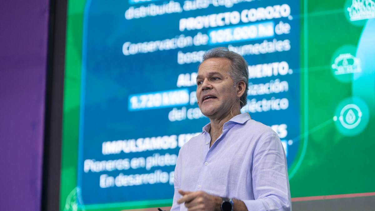 Los cuatro proyectos que impulsarán la seguridad energética en Colombia según Promigas