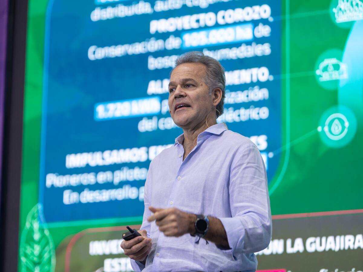 Los cuatro proyectos que impulsarán la seguridad energética en Colombia según Promigas