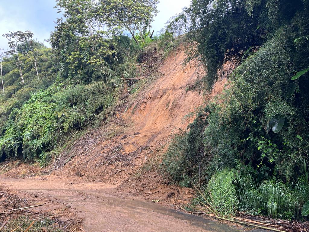 Oficial Caracol Radio