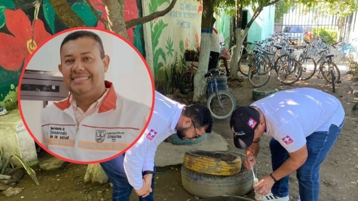 Dengue en Córdoba: se reportan más 8 mil casos y 4 muertes en lo que va de 2025