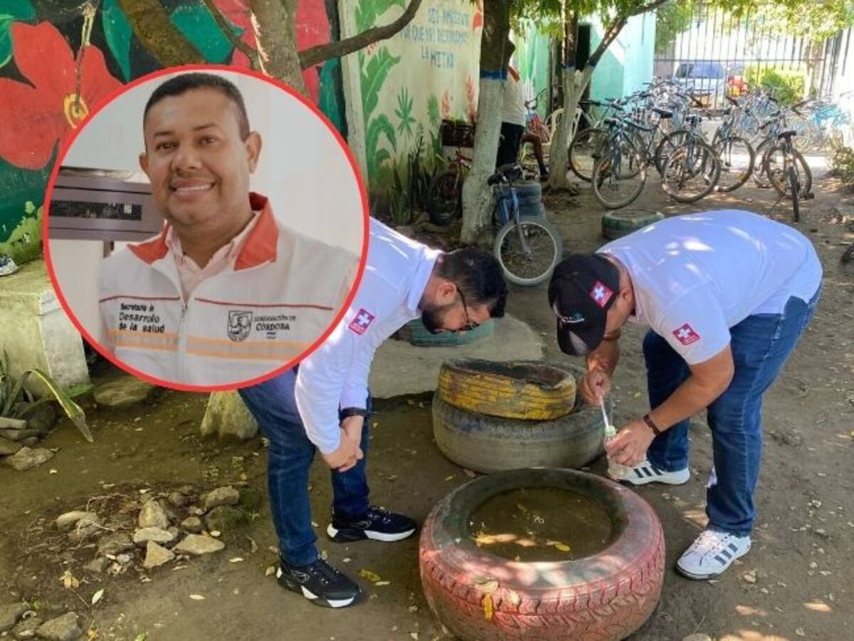 Dengue en Córdoba: se reportan más 8 mil casos y 4 muertes en lo que va de 2025