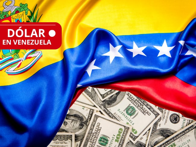 Precio del dólar oficial en Venezuela HOY, 31 de diciembre, según lo presentado por el BCV ¡Aumentó!