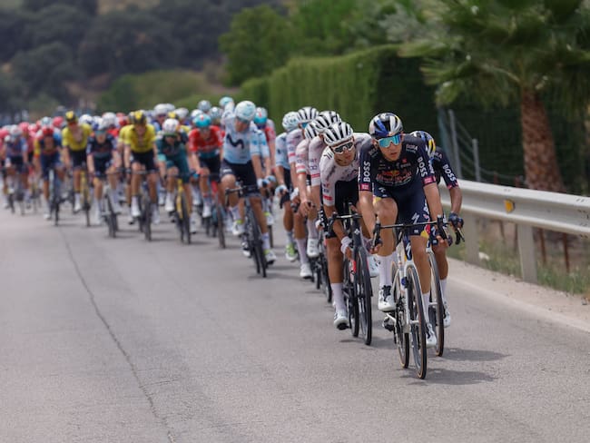 YUNQUERA (MÁLAGA), 22/08/2024.- El pelotón ciclista durante la sexta etapa de la Vuelta a España, este jueves entre Jerez de la Frontera y Yunquera, de 185,5 kilómetros de recorrido. EFE/ Javier Lizón