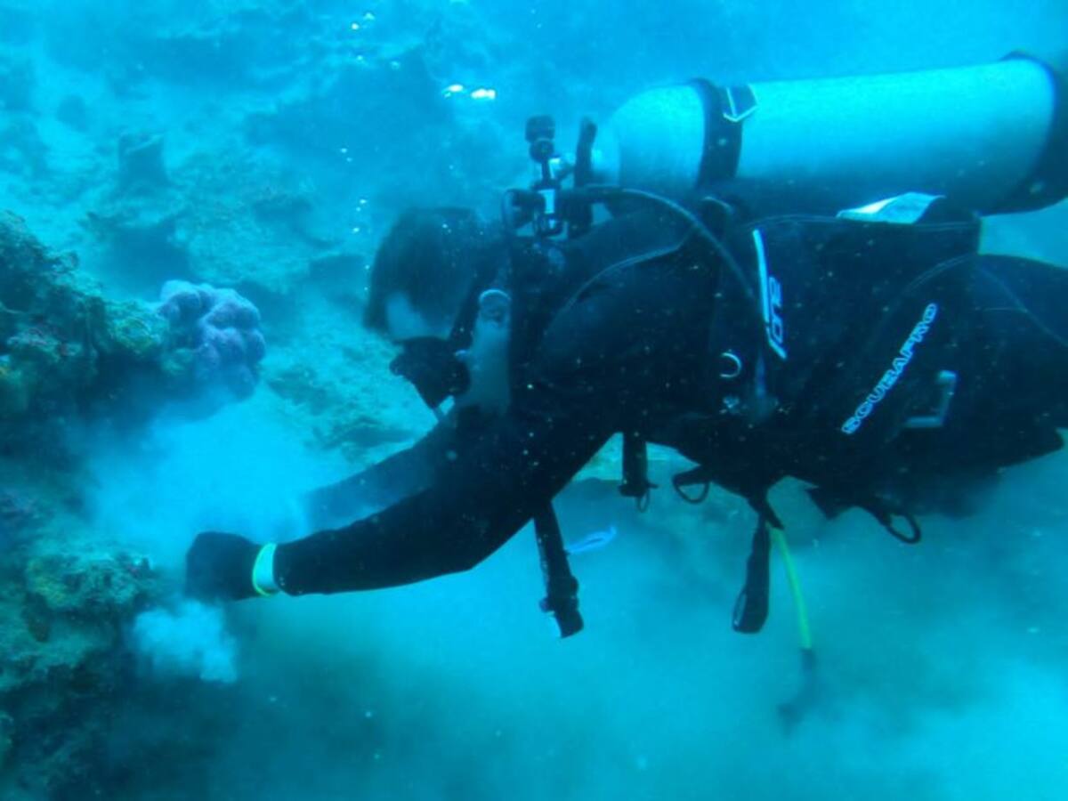 ENAP y CIOH continúan estudios de arrecifes en la Bahía de Cartagena