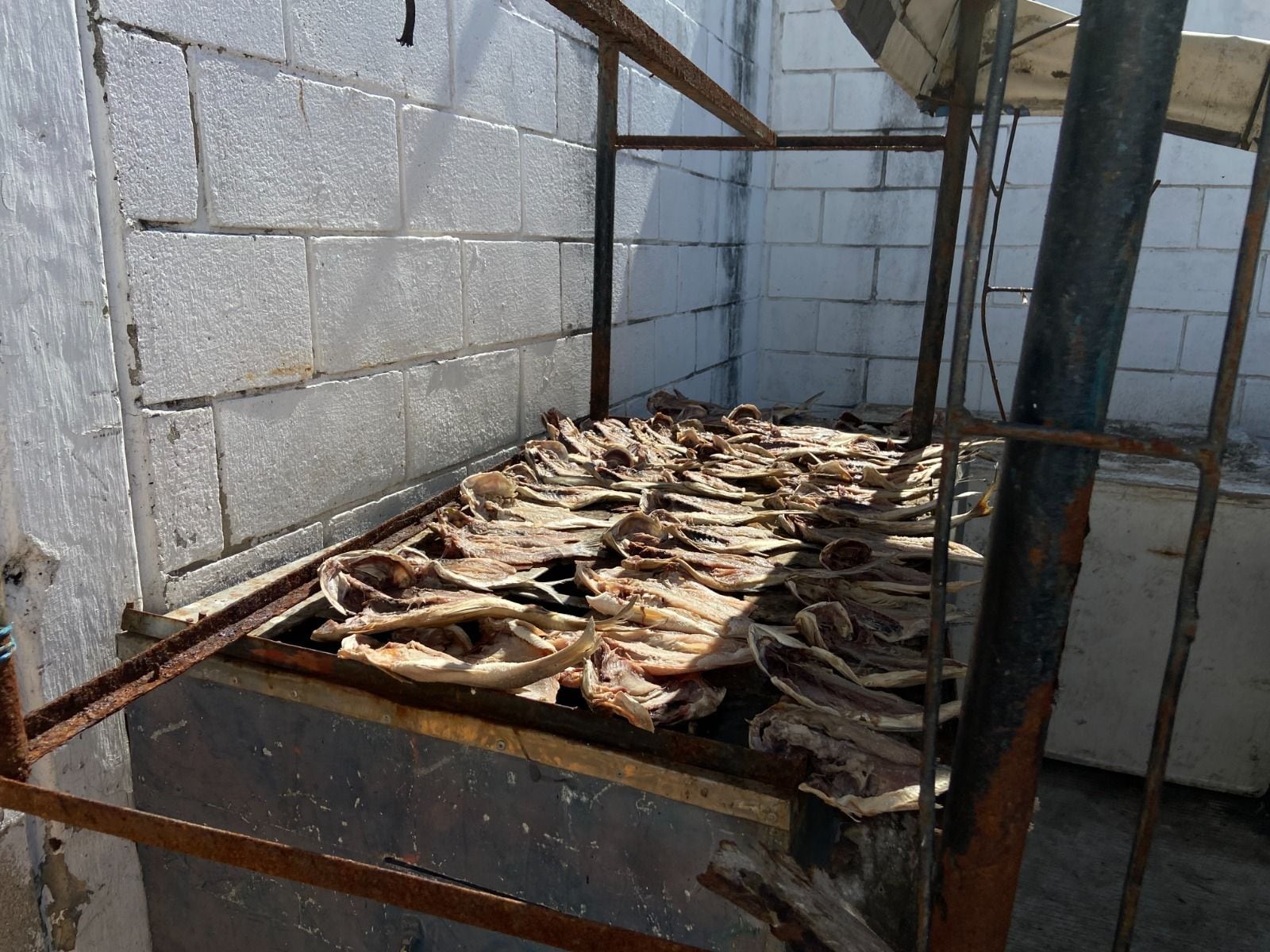 En Santa Marta retiraron de circulación 82 kilogramos de pescado y mariscos en mal estado/ Alcaldía de Santa Marta.