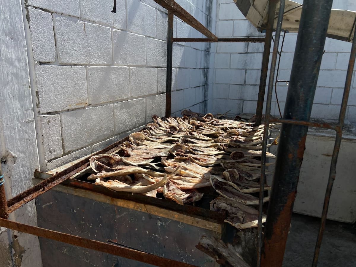 En Santa Marta retiraron de circulación 82 kilogramos de pescados y mariscos en mal estado