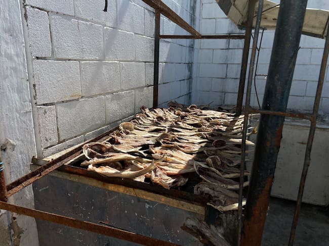 En Santa Marta retiraron de circulación 82 kilogramos de pescado y mariscos en mal estado/ Alcaldía de Santa Marta.