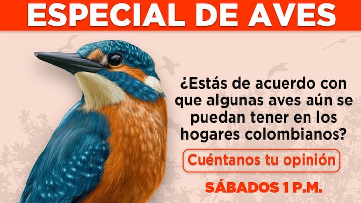 Escuche el programa Mascotas Caracol 23 de julio