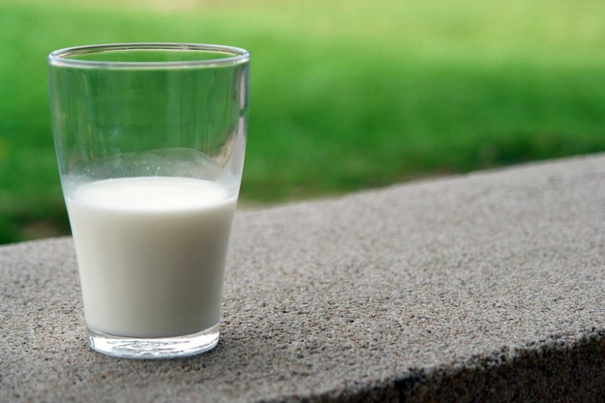 1.  Los lácteos: Los perros después de amamantarse ya no pueden digerir la leche de la misma manera.Cuando lo consumen su estómago se puede inflamar y sentirán dolor. 