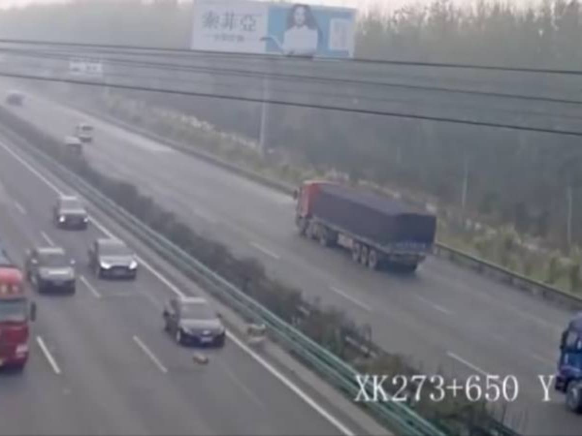 Ovejas causan mortal accidente en China