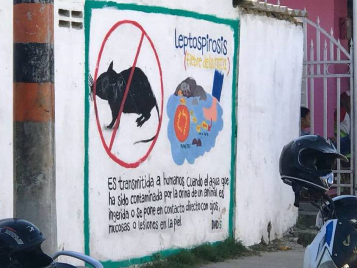 Denuncian muerte de dos jóvenes en Cartagena al parecer por leptospirosis