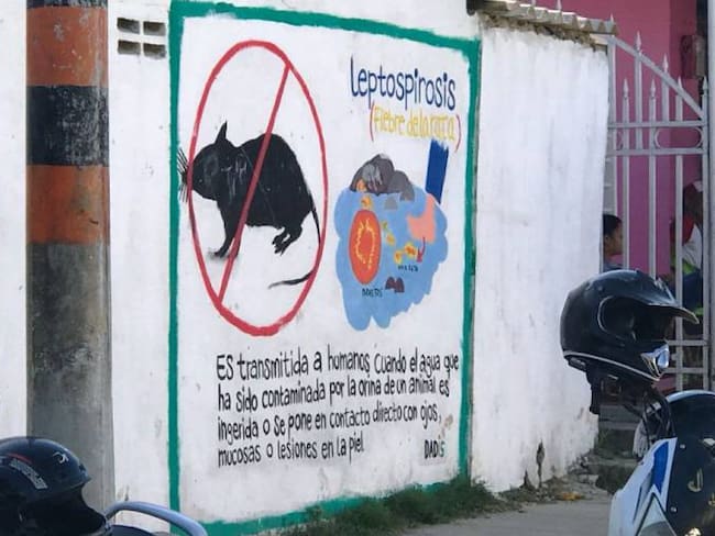 Denuncian muerte de dos jóvenes en Cartagena al parecer por leptospirosis