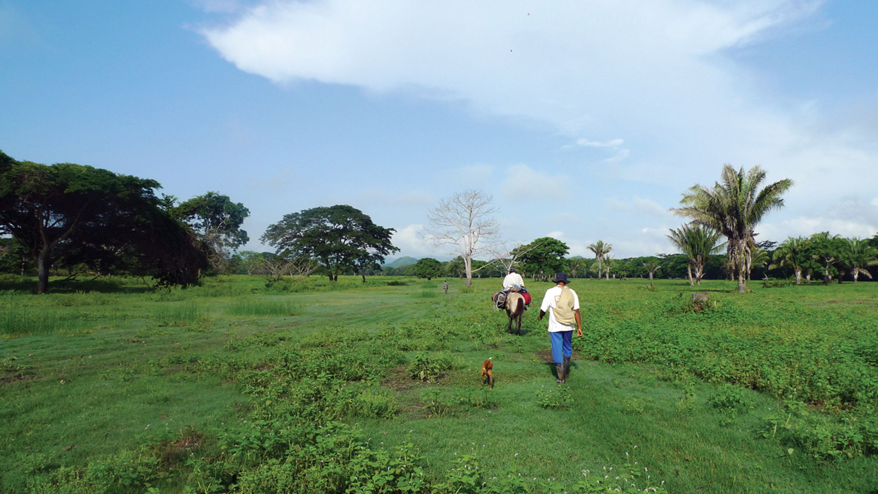 Los campesinos exigen claridad en diálogos de paz con el Clan del Golfo y protección para la población civil en Córdoba.