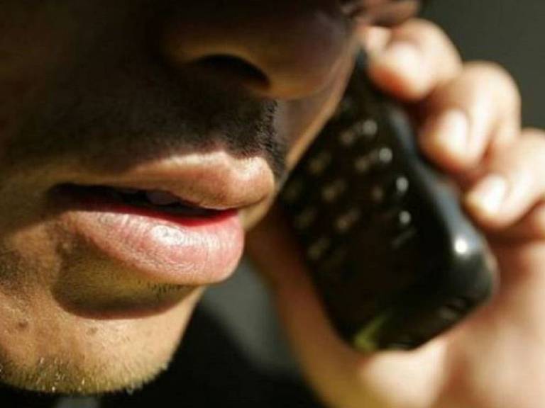 Imagen de referencia