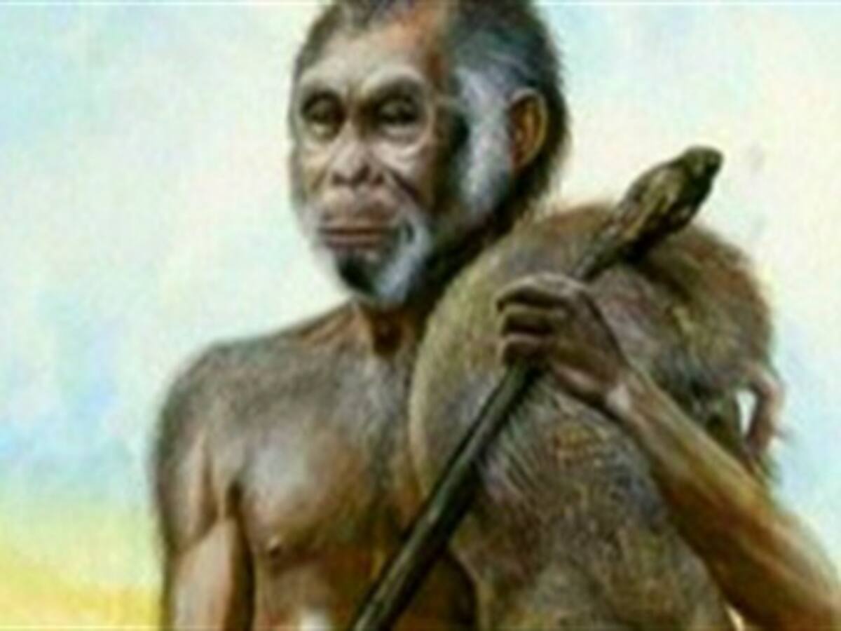 El Hobbit no tenía problemas de crecimiento