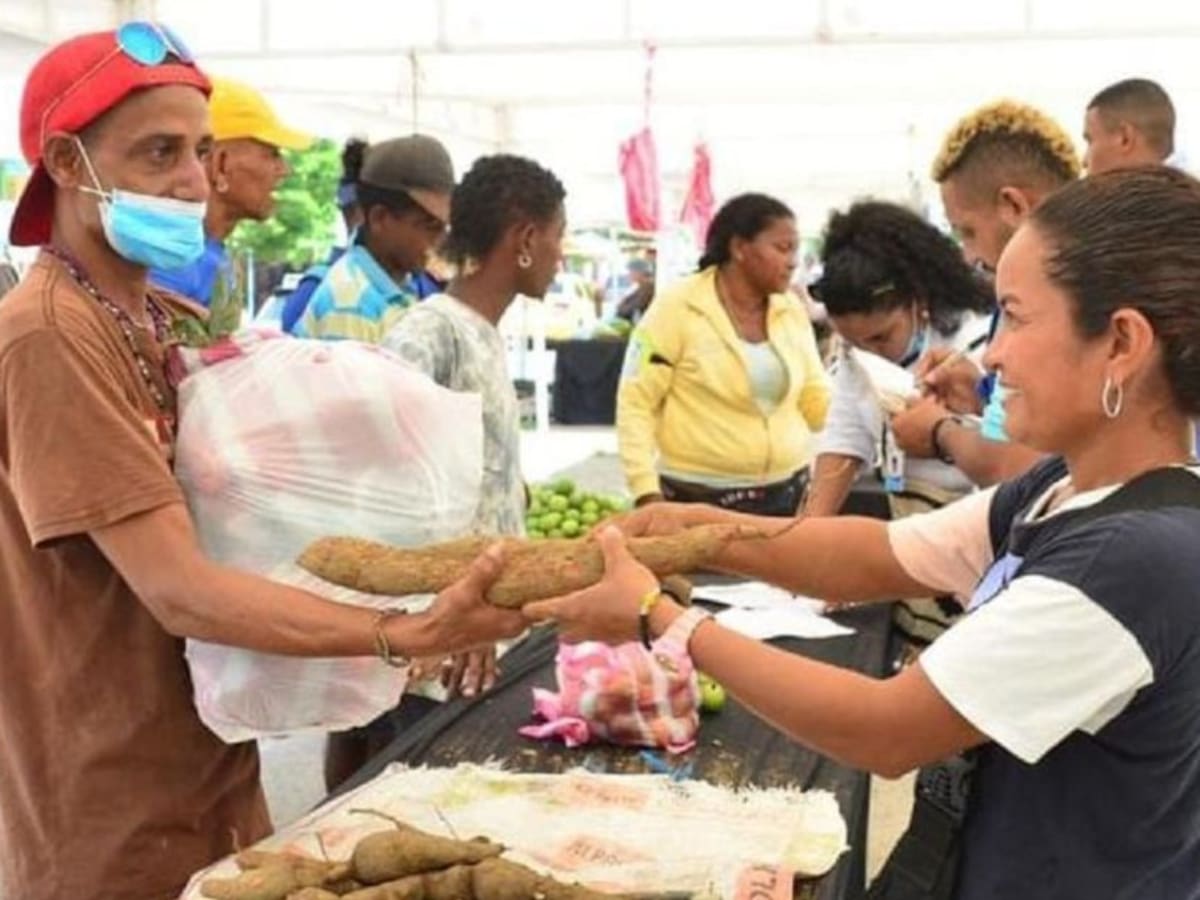 Más de 850 familias compraron en los tres mercados campesinos del PES