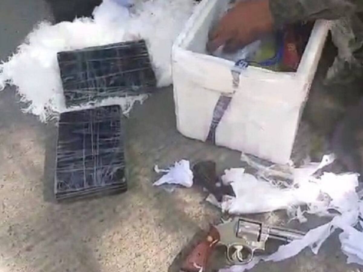 La policía encontró cuatro armas de fuego y más de mil balas en una nevera