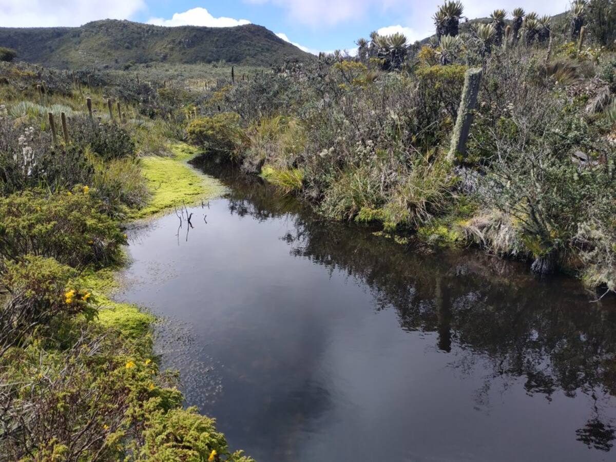 Municipios de Cundinamarca anunciaron la creación de una bolsa común para el abastecimiento de agua