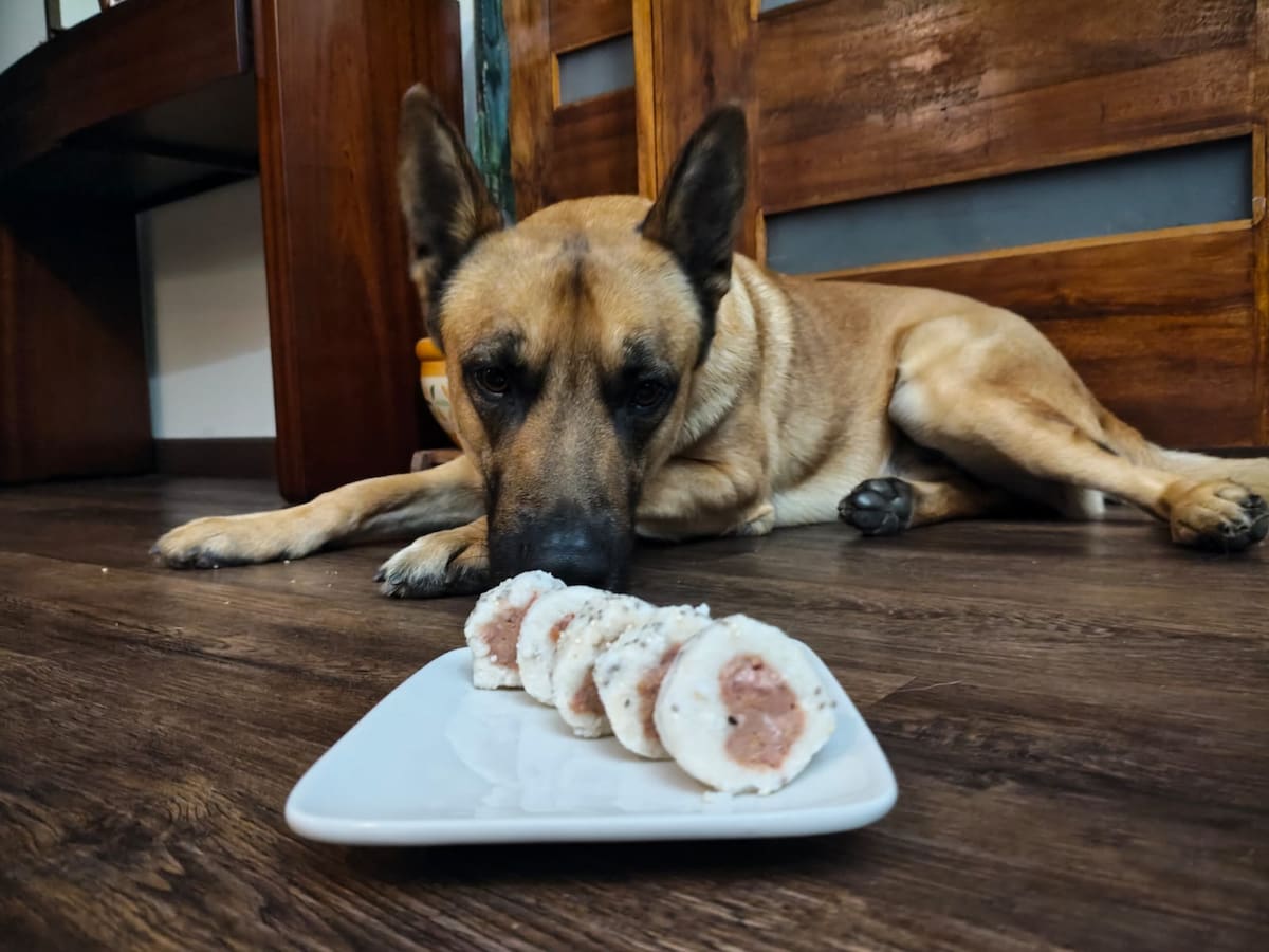 Ana Lucía Martín habla sobre su emprendimiento de sushi para perros