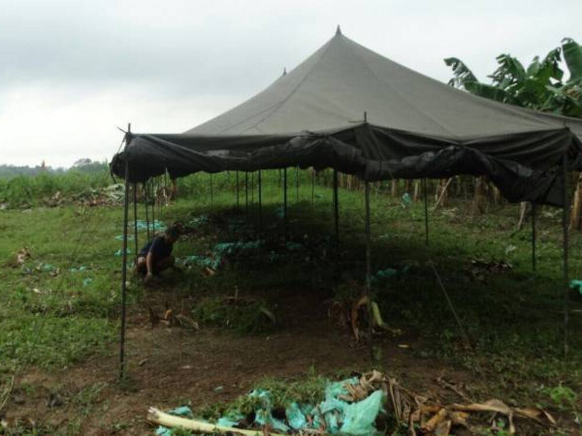 Gobernador de Arauca confirmó nueva incursión de militares venezolanos en el departamento