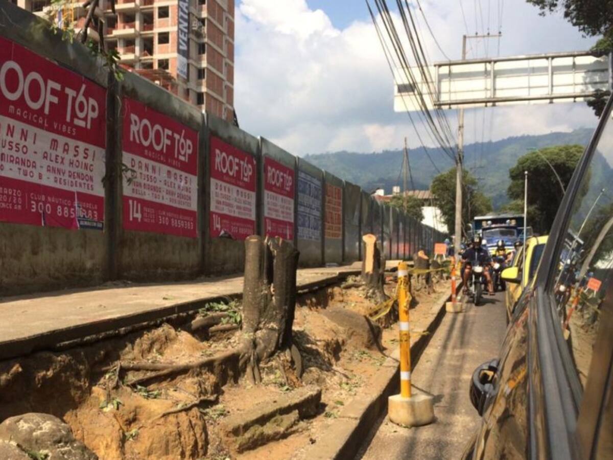 VIDEO: Con este calor y talaron más árboles