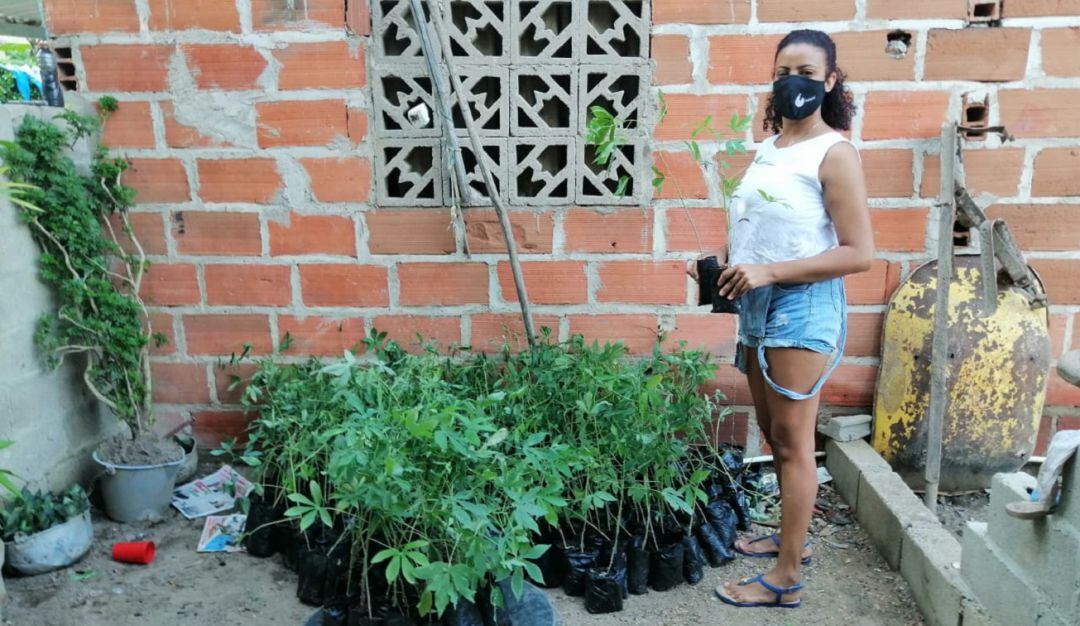 Es considerada una especie importante que contribuye a la seguridad alimentaria en poblaciones con bajos recursos económicos