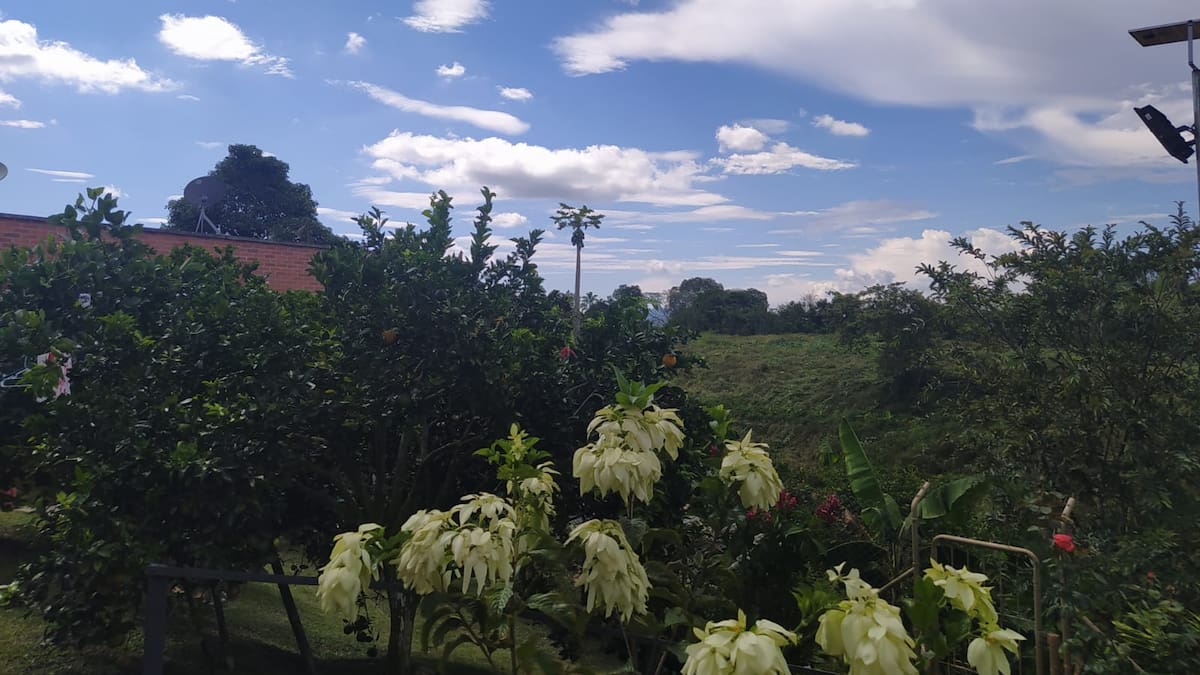 Lunes 3 de Octubre, las principales noticias de Armenia y Quindío
