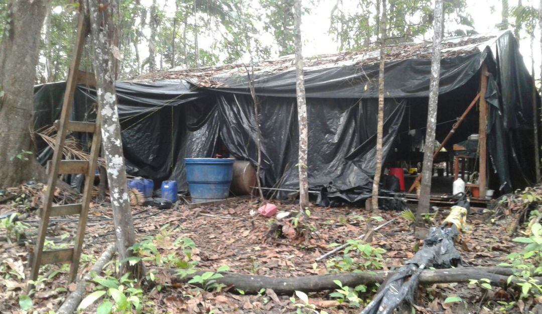 Imagen de referencia.