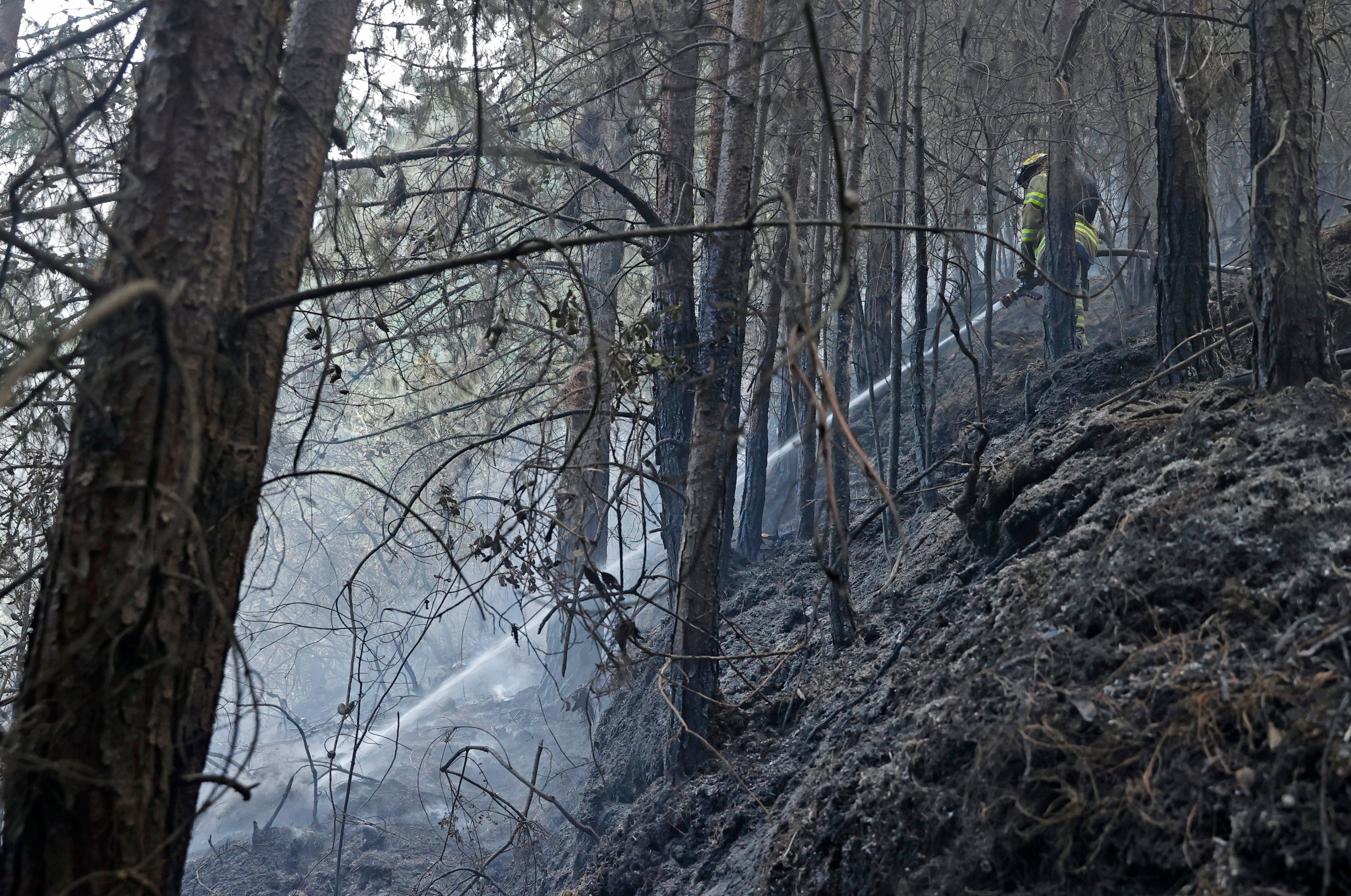 Autoridades advierten sobre continuidad de ola de calor y riesgo de incendios forestales en Córdoba. EFE/ Mauricio Dueñas Castañeda (referencia).