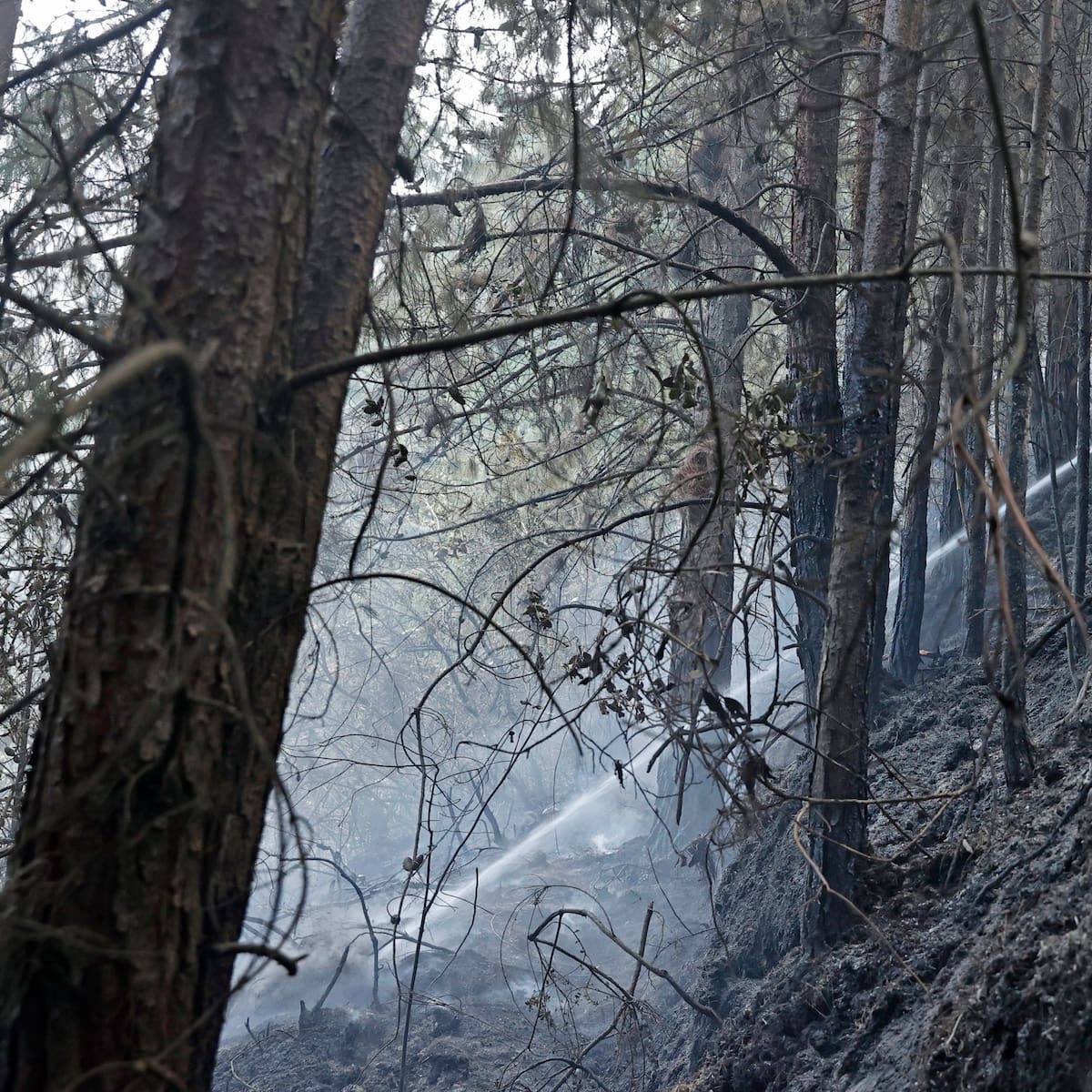 Autoridades advierten sobre continuidad de ola de calor y riesgo de incendios forestales en Córdoba