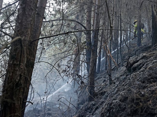 Autoridades advierten sobre continuidad de ola de calor y riesgo de incendios forestales en Córdoba. EFE/ Mauricio Dueñas Castañeda (referencia).