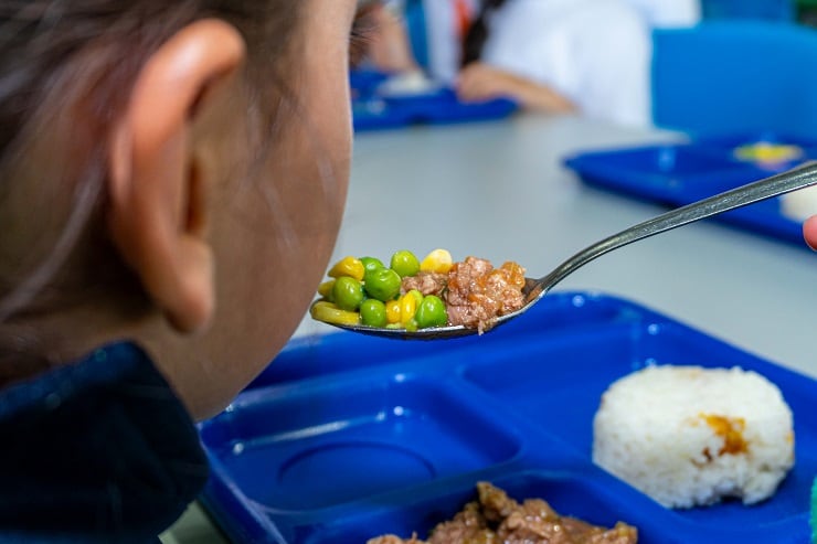 Programa de Alimentación Escolar - PAE