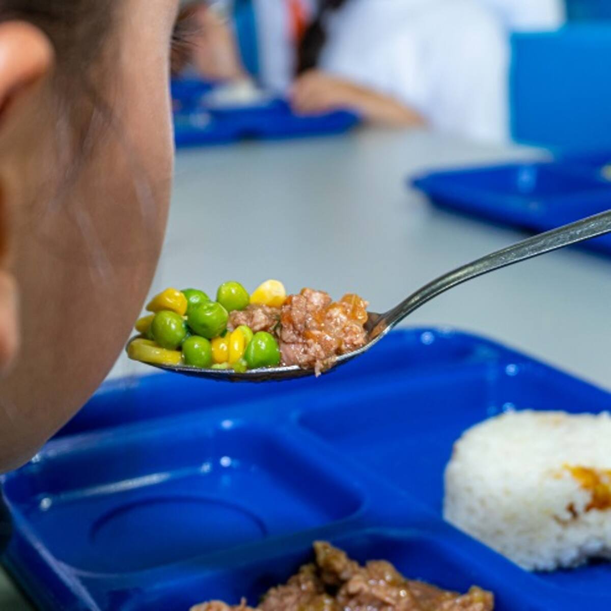 En Córdoba se reactiva el Programa de Alimentación Escolar para 155.000 estudiantes de 27 municipios