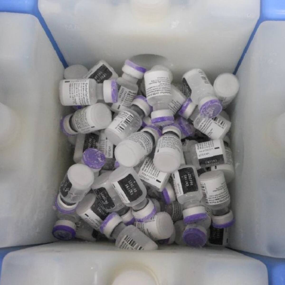 Llegan a Manizales más de 17.000 vacunas anticovid de Moderna