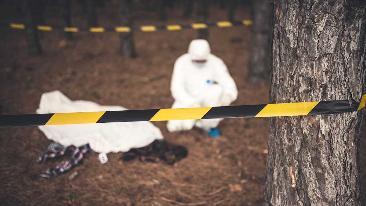 Hallazgo de tres cuerpos en Candelaria, Valle, revela presunta guerra por expendio de drogas