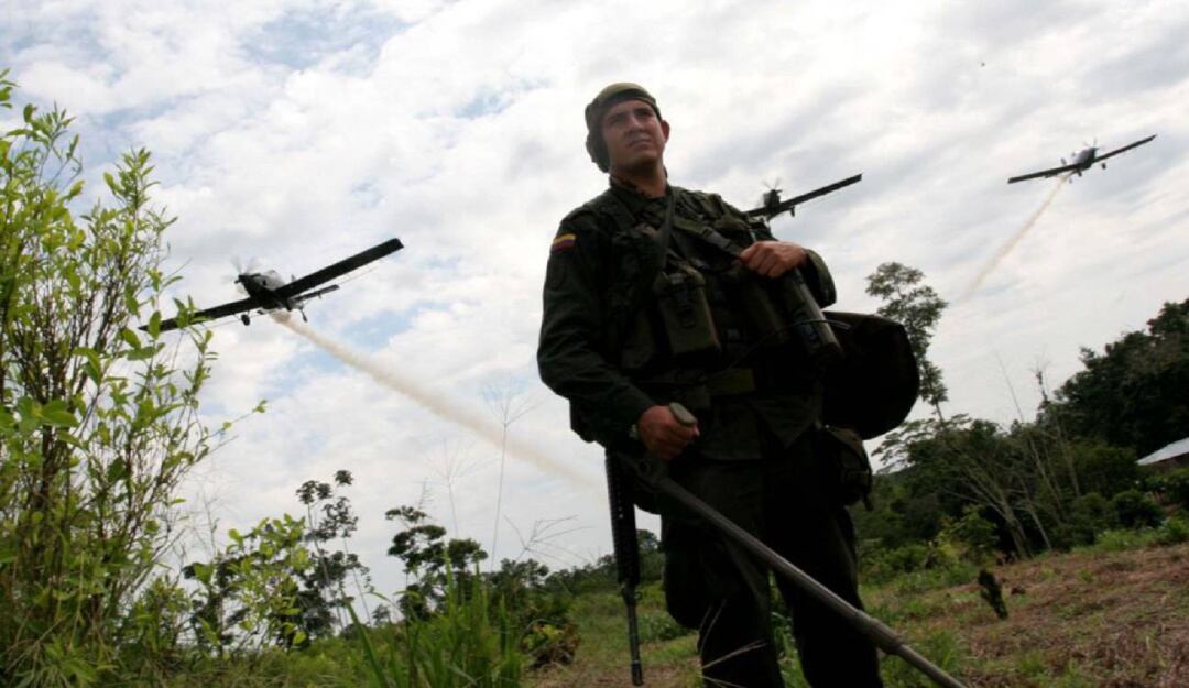 Campesinos escépticos por certificación contra las drogas