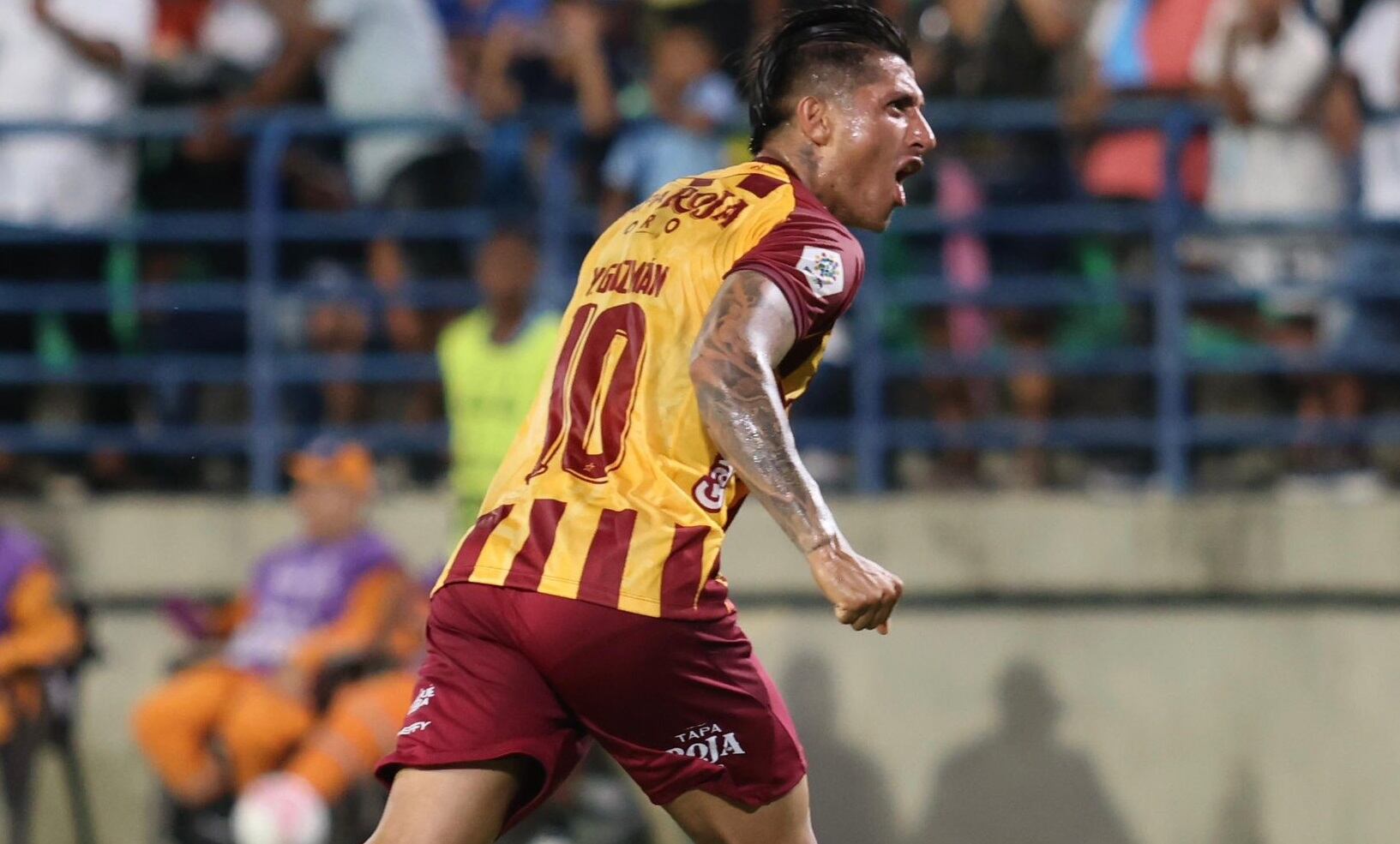 Twitter (X): @cdtolima